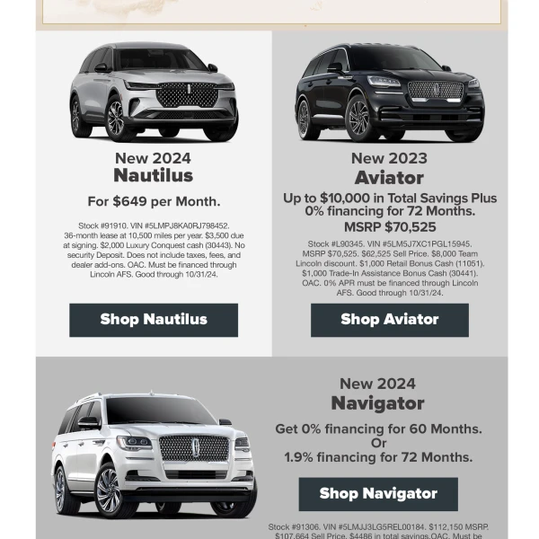 Team Lincoln - E-mail Marketing